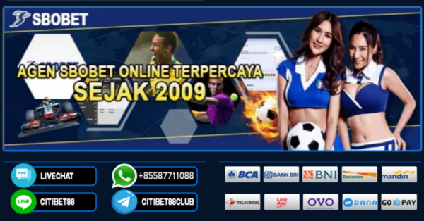 Agen Taruhan Bola Resmi Panduan Lengkap untuk Pemain